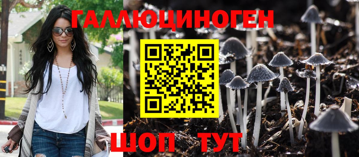Псилоцибиновые грибы мухоморы Красноармейск