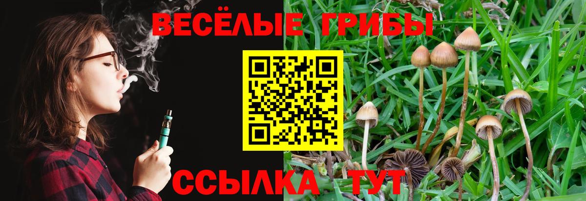 Красноармейск  Псилоцибиновые грибы GOLDEN TEACHER  Вход с VPN 